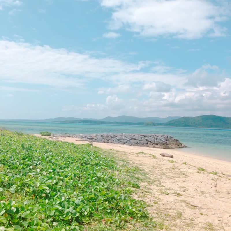 日本・Kohama「Kohama」の写真