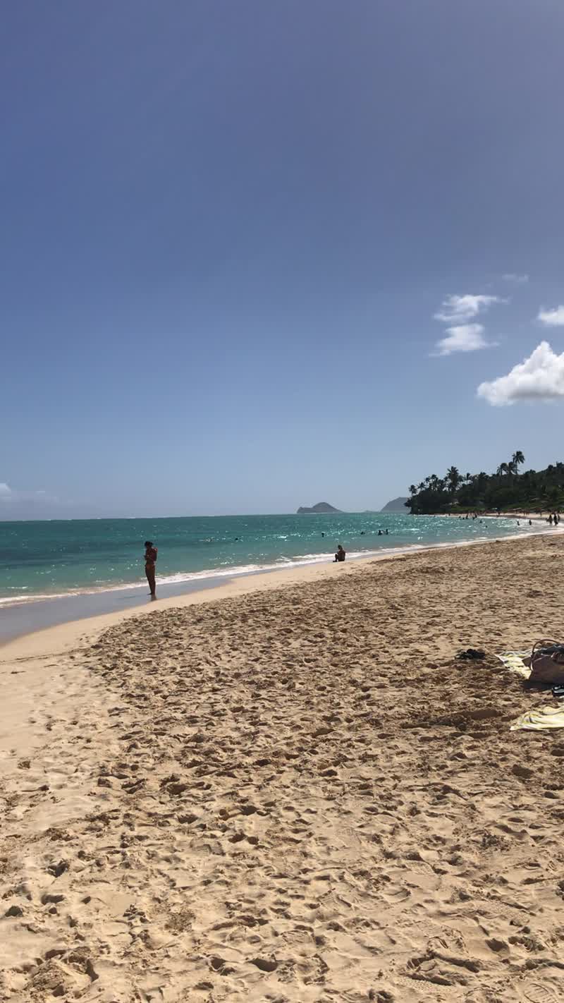 アメリカ(米国)・hawaii「2019 Nov Hawaii」の写真