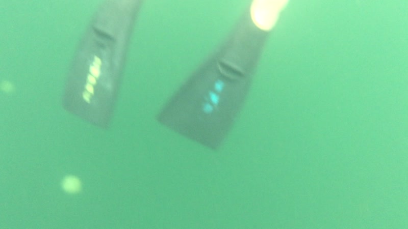 パラオ「パラオ家族旅行」の写真：音注意！無音にするべし